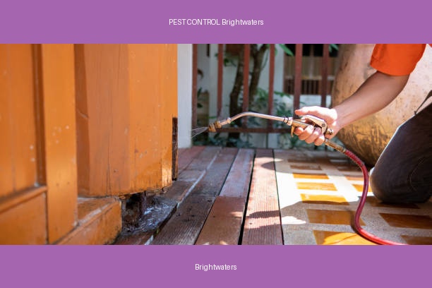 PEST CONTROL Brightwaters